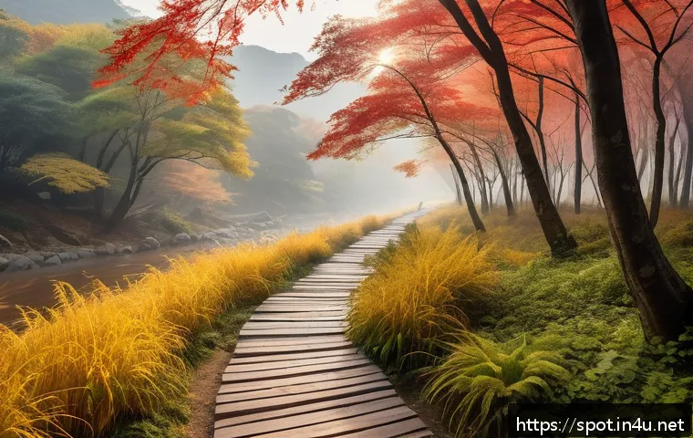 청송 주왕산 단풍 명소 관련 이미지 2